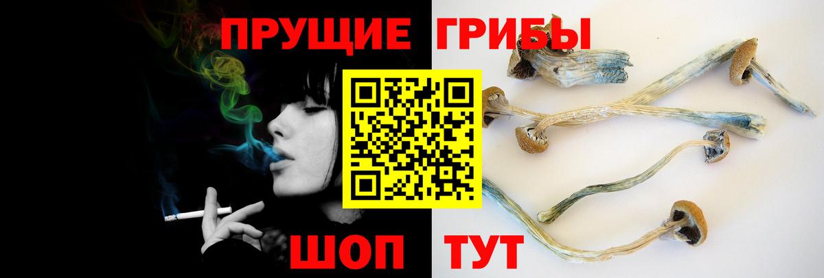 Галлюциногенные грибы мухоморы  Вход с VPN  Ангарск  Псилоцибиновые грибы Psilocybe 